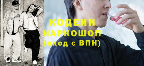 ГАЛЛЮЦИНОГЕННЫЕ ГРИБЫ Арсеньев